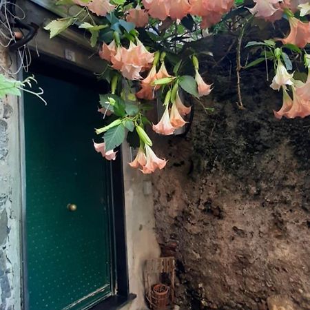 Giuggiolhouse Apartment Genoa Luaran gambar