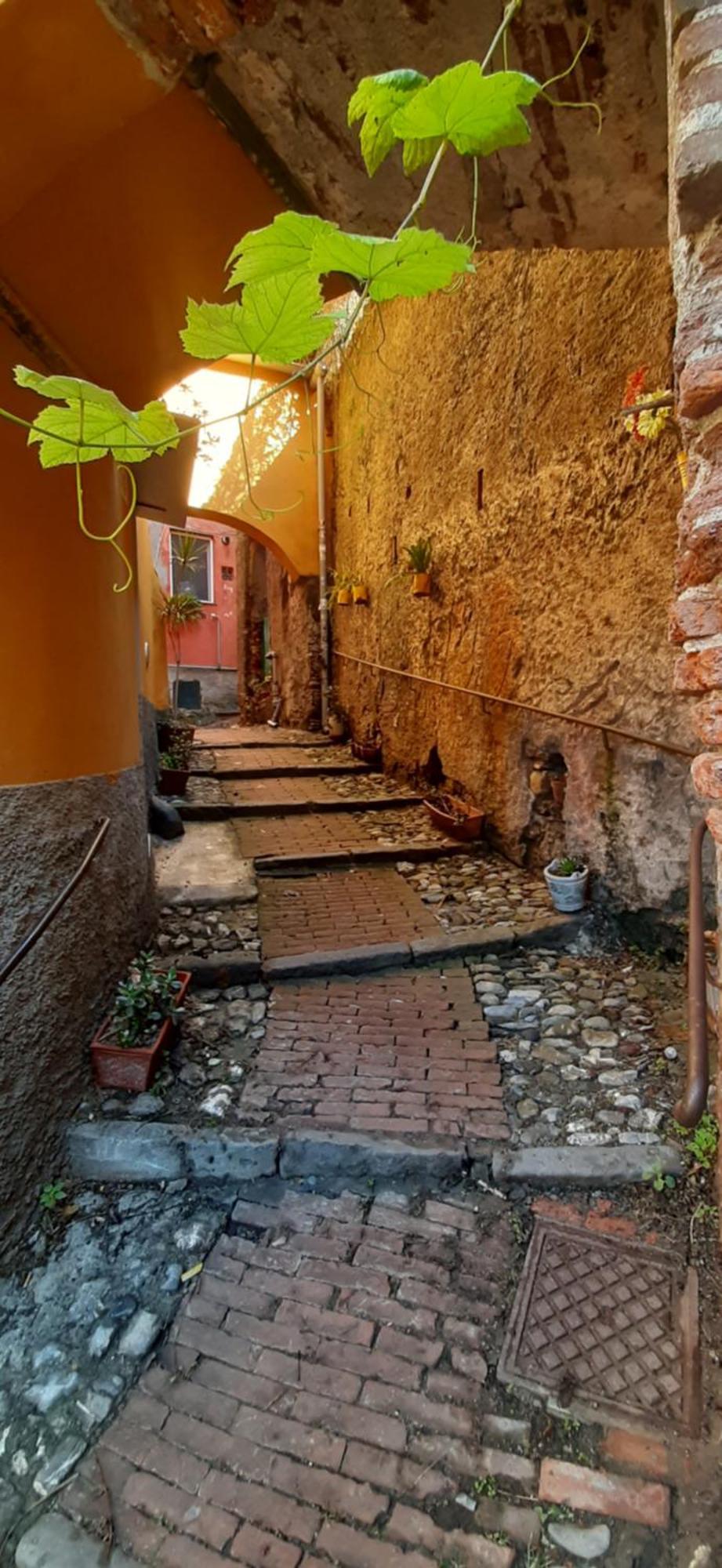 Giuggiolhouse Apartment Genoa Luaran gambar